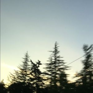 Meet your Posher, Carter